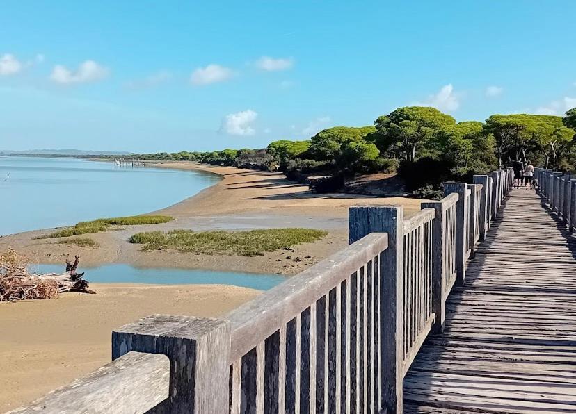 Nuevo En Cadiz Apartamento *